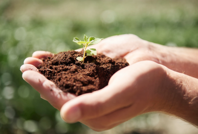 水利部：将829家单位纳入信用监管重点关注名单