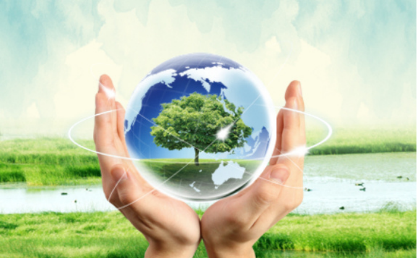 最高法：全要素全环节全链条惩治破坏生态环境违法犯罪