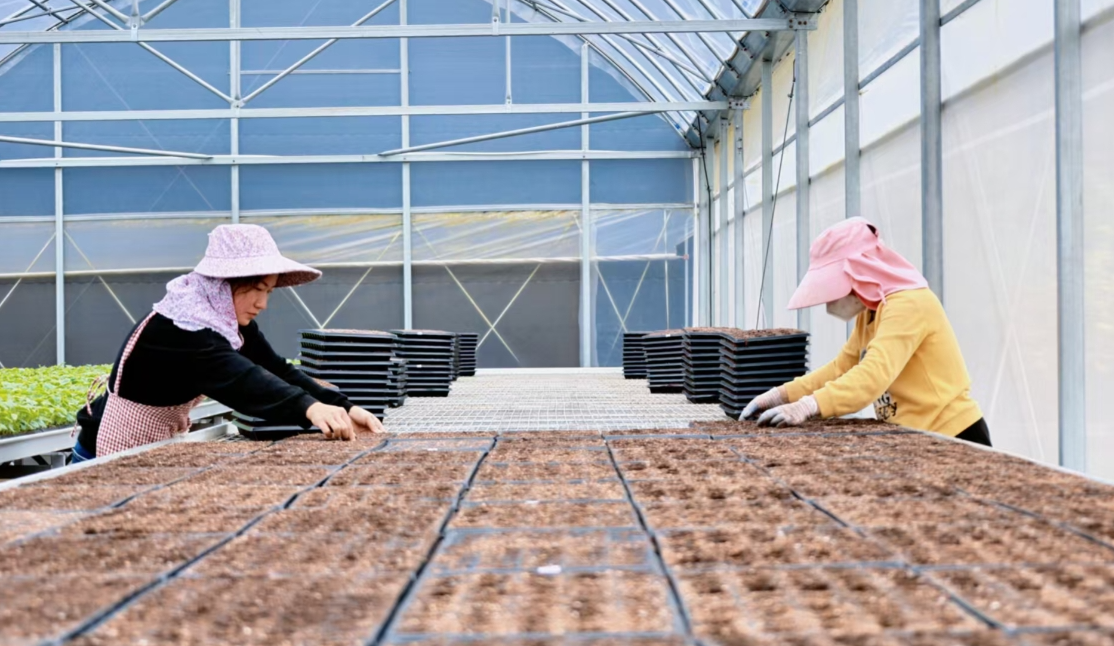 农业农村部等七部门部署2026年春耕备耕农资打假工作